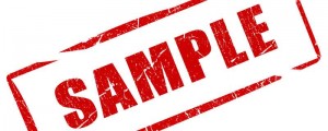 Sample movie and TV show pitch form